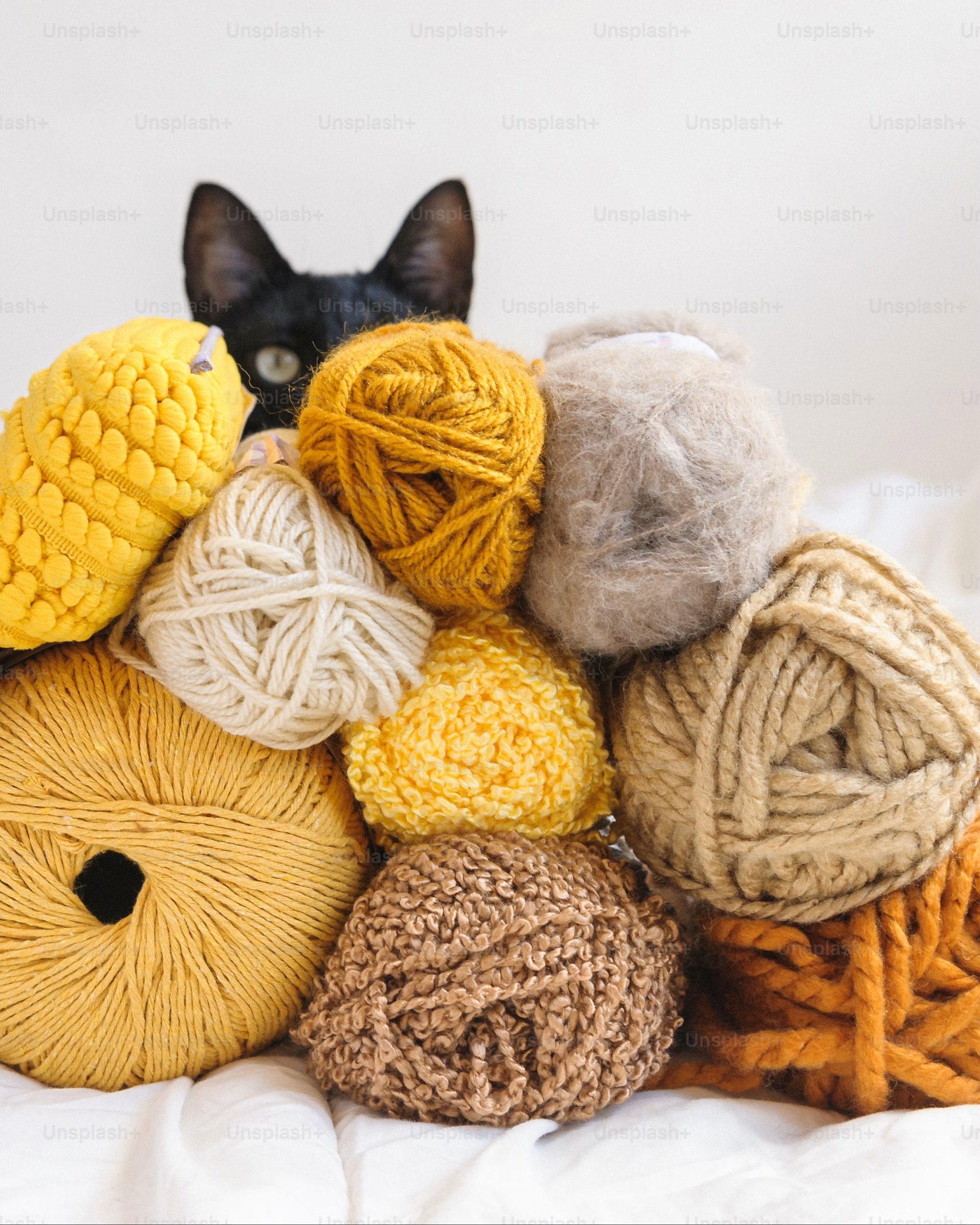 KNIT COLLECTION